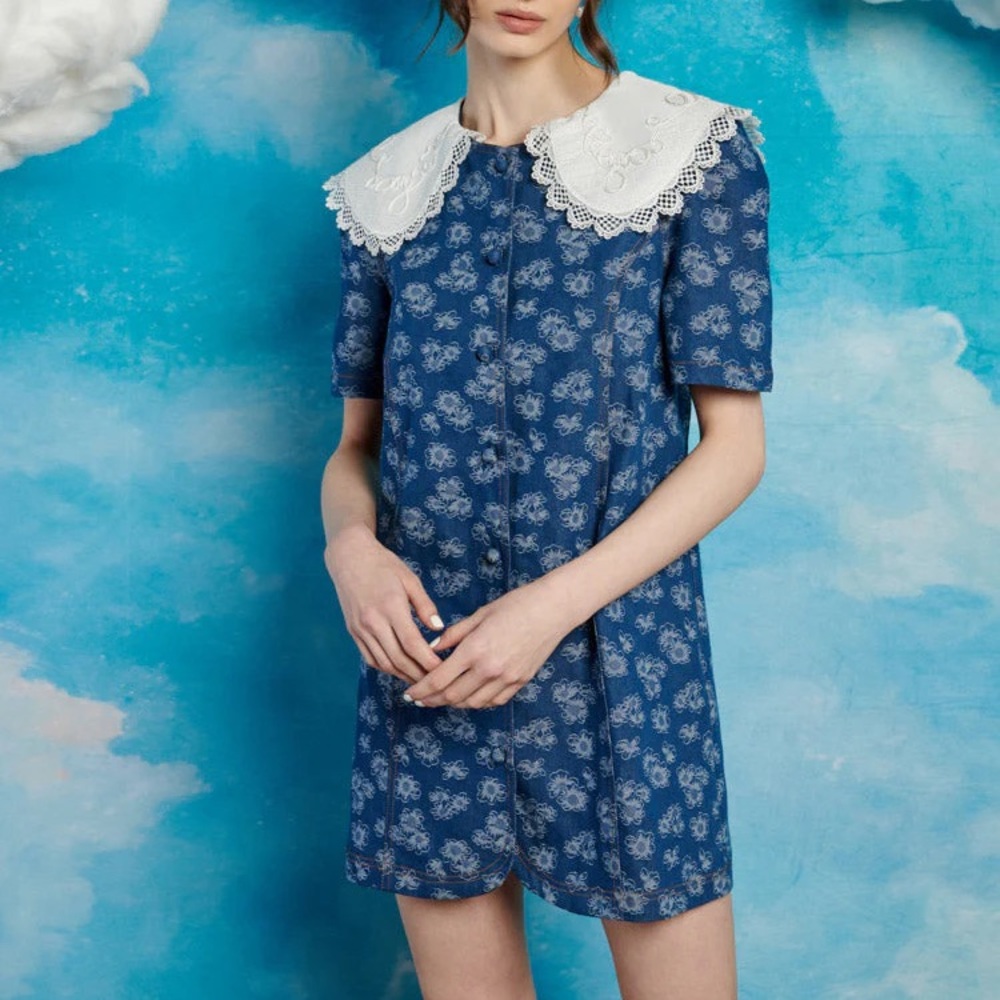 Sister Jane Wildflower Denim Mini Dress